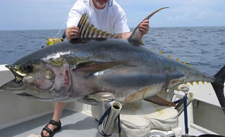 Guy's fishing trip in the Dominican Republic