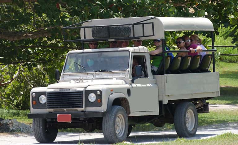 Jeep Safari trip